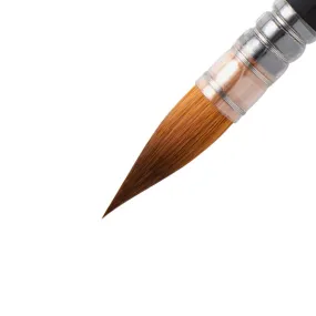 Princeton Elite Quill 6