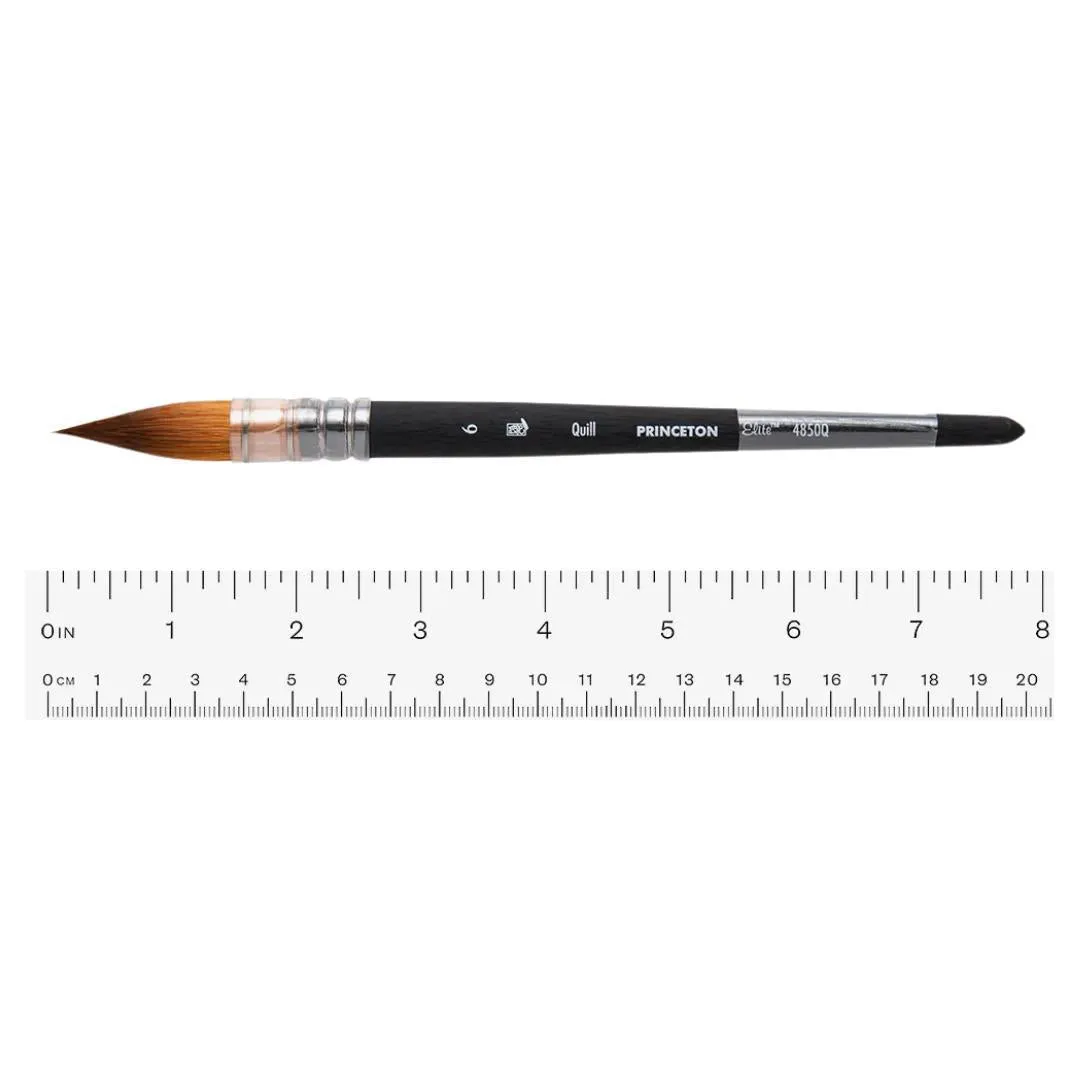 Princeton Elite Quill 6